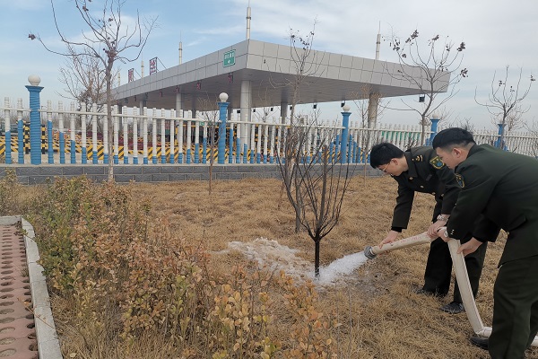 青兰收费站开展我为绿荫添力量植树节纪念活动